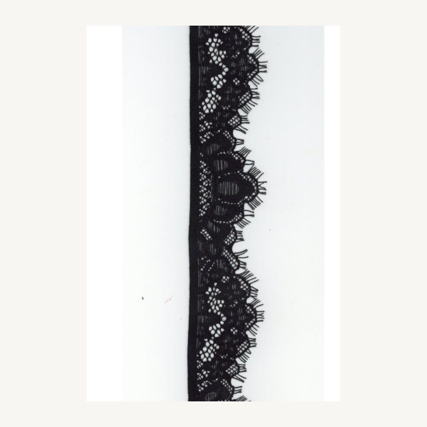 Stretch lace trim AN619142N