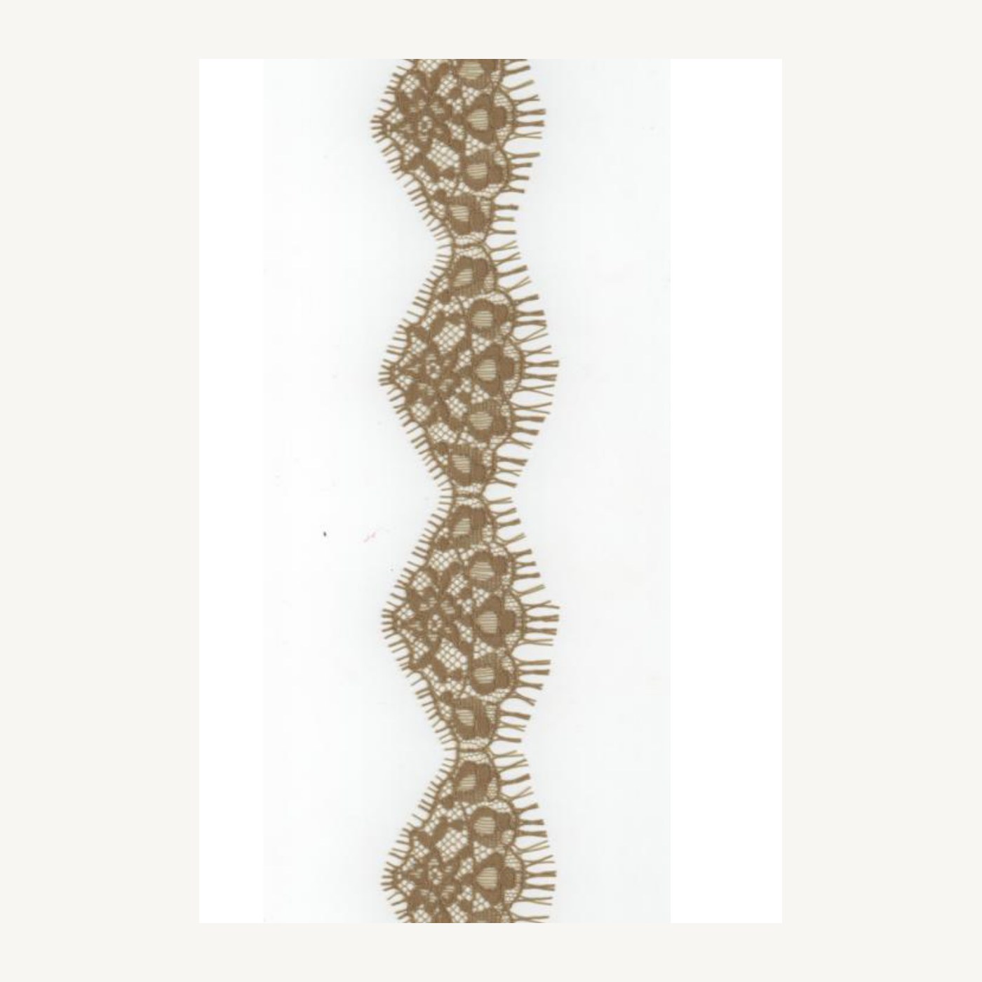 Cotton-blend all-over lace D124047CW