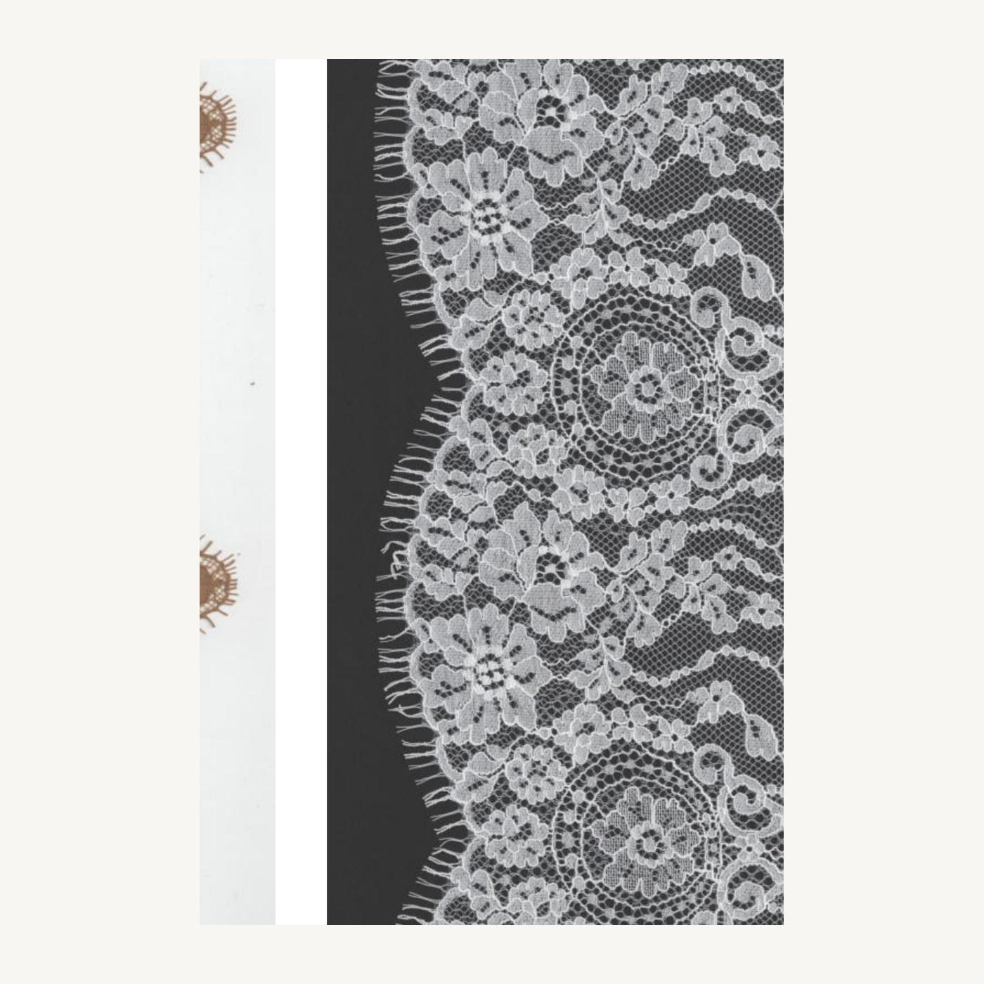 Cotton-blend all-over lace D125143CW
