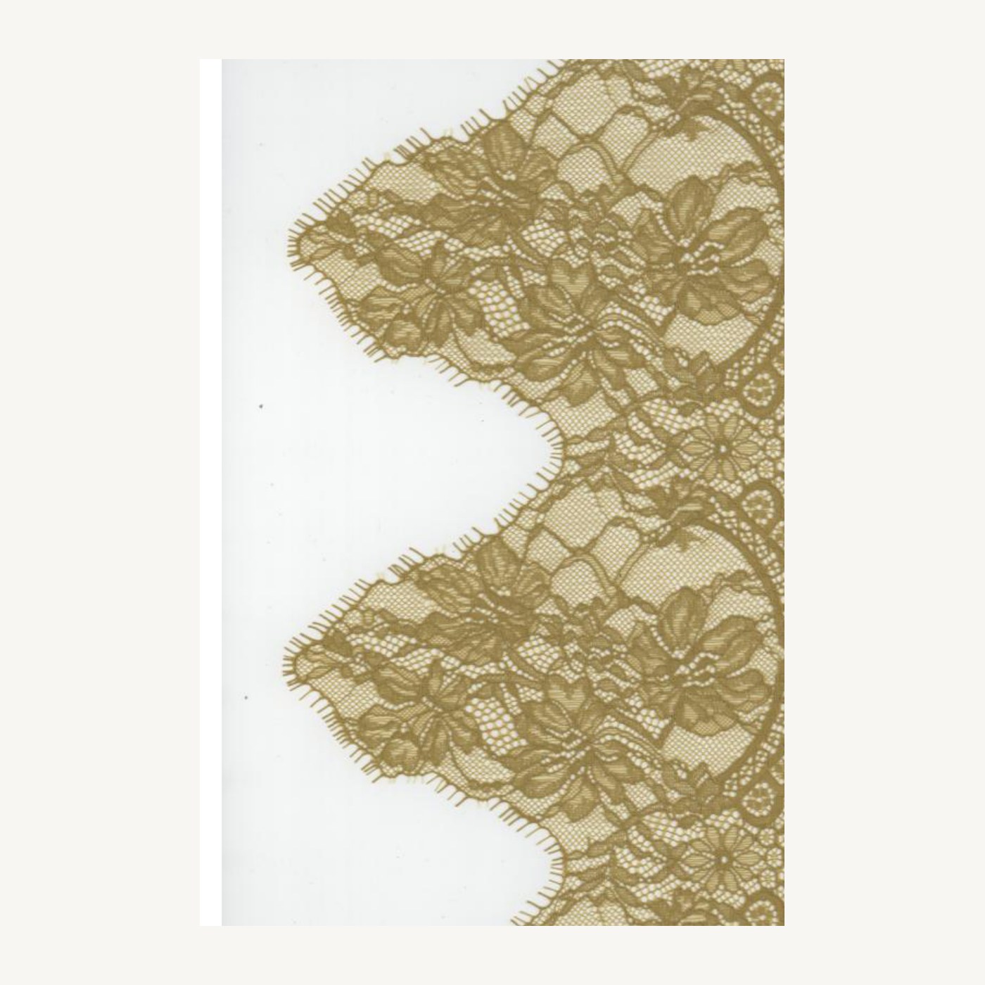 Cotton-blend all-over lace D325080CW