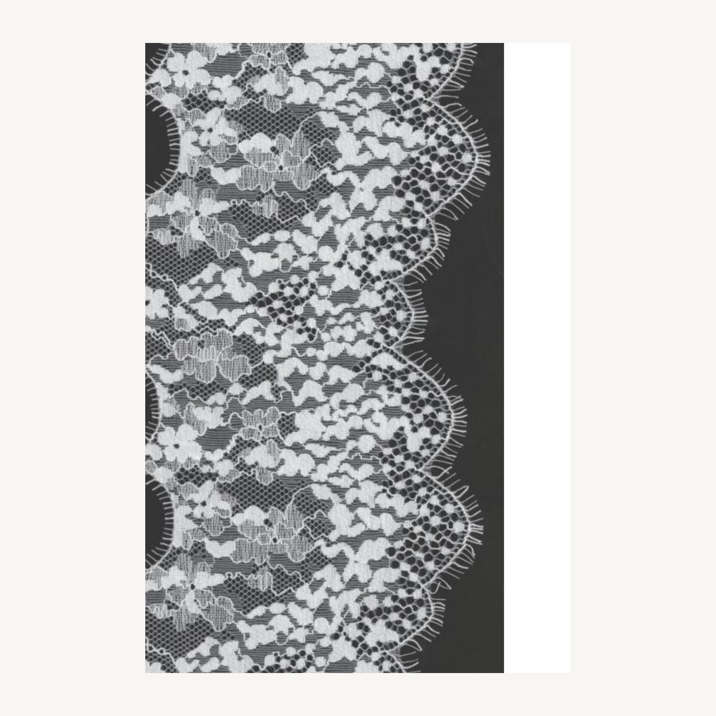 Cotton-blend all-over lace D625101CW