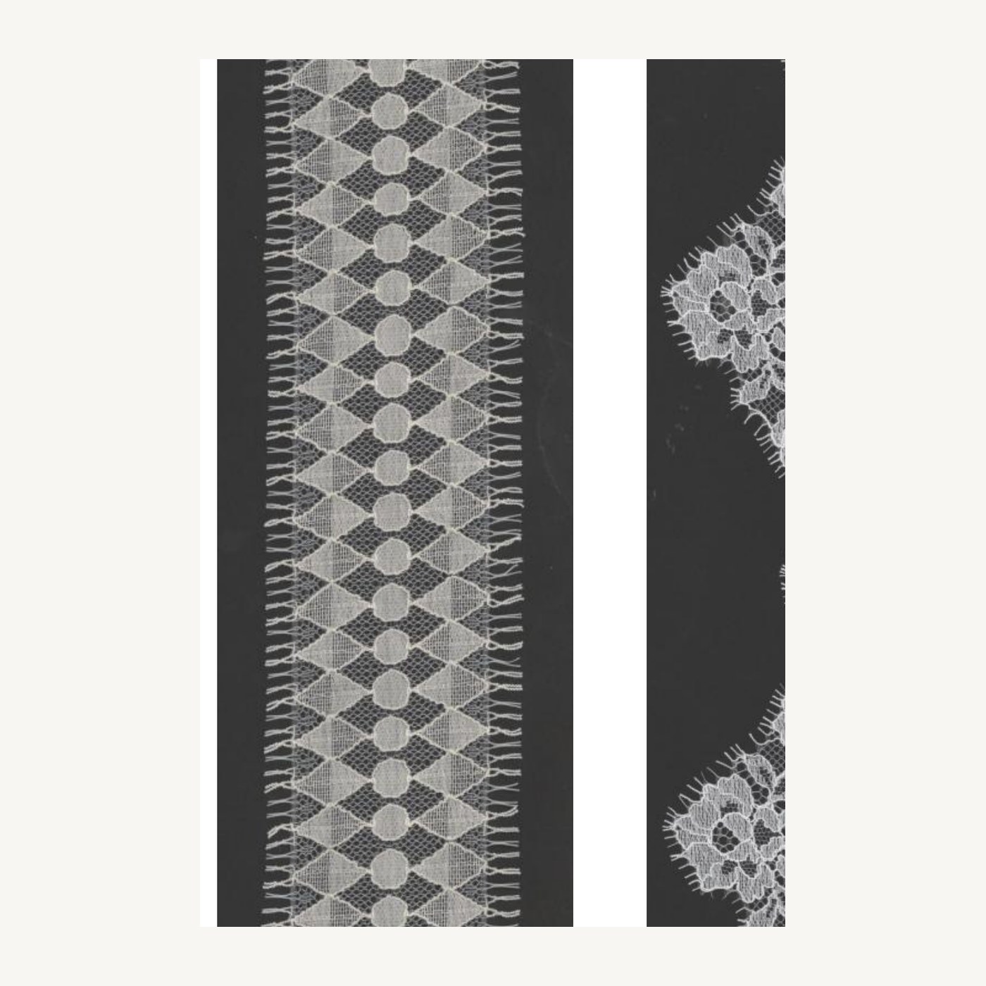 Cotton-blend all-over lace D625103XW