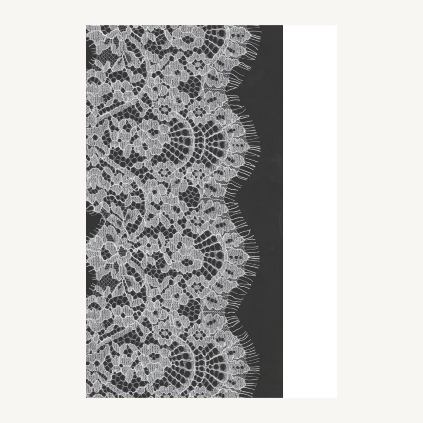 Cotton-blend all-over lace DC320517W