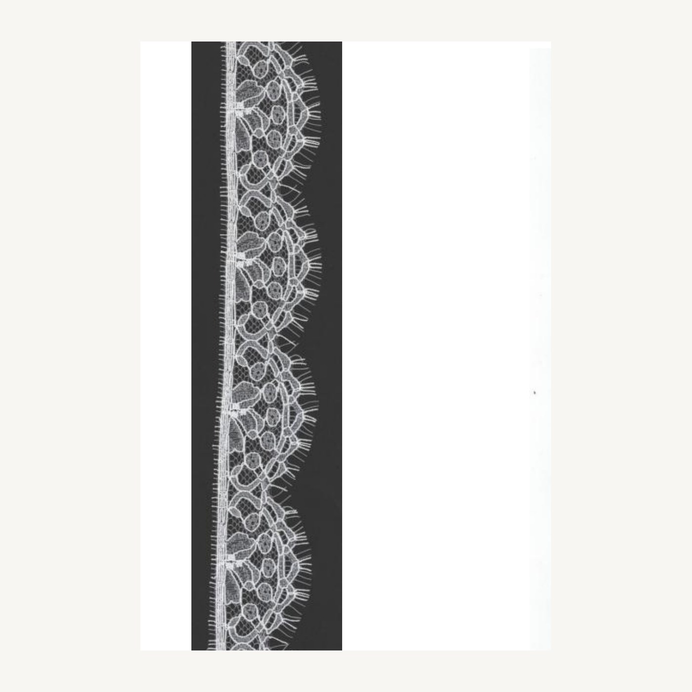 All-over lace DN620010M