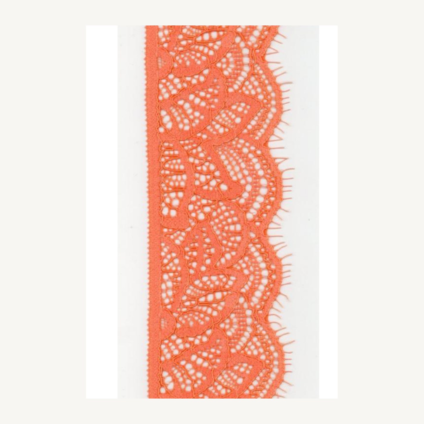 Stretch lace trim DN621509N