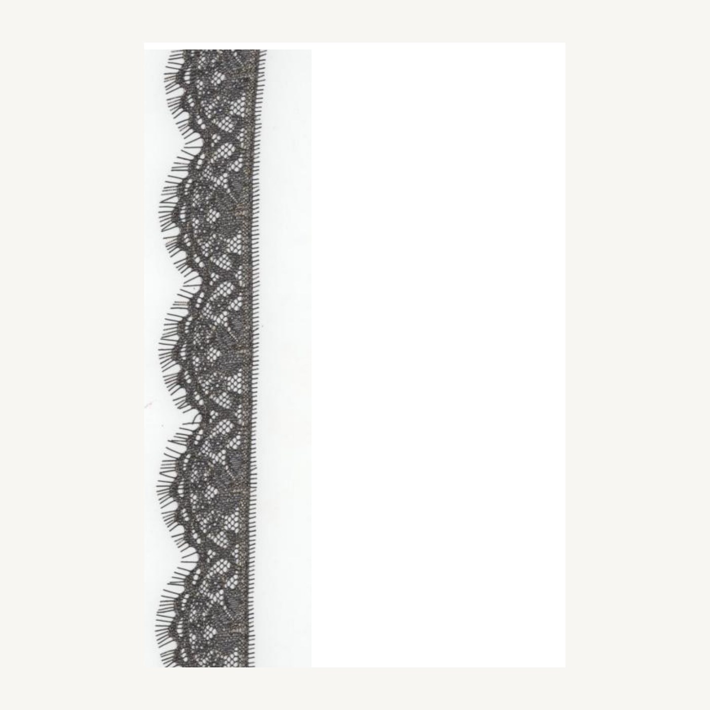 Metallic all-over lace DX620010M